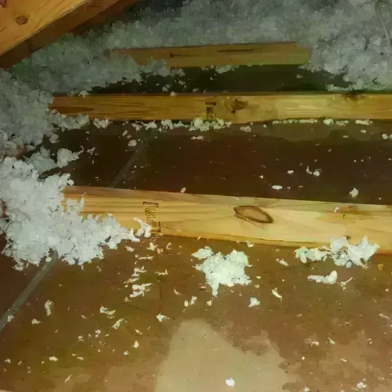 Attic Water Damage in Nesquehoning, PA